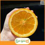 Ruột của cam có màu vàng tươi, mùi vị thơm và không có hạt