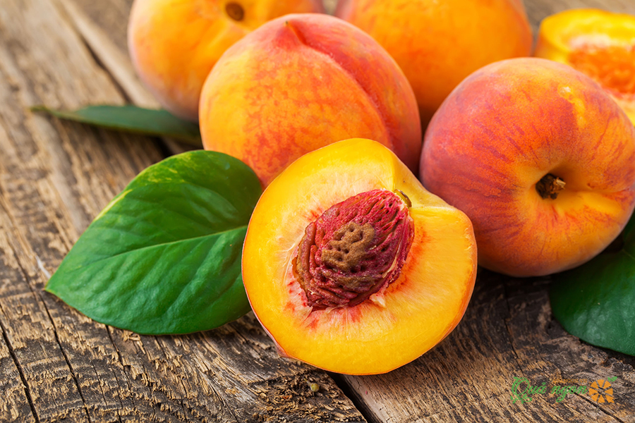 Các loại trái cây ngăn ngừa ung thư vú và tái phát hiệu quả