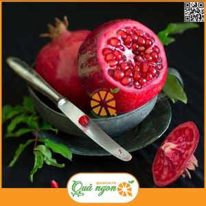Lựu Đỏ Ai Cập