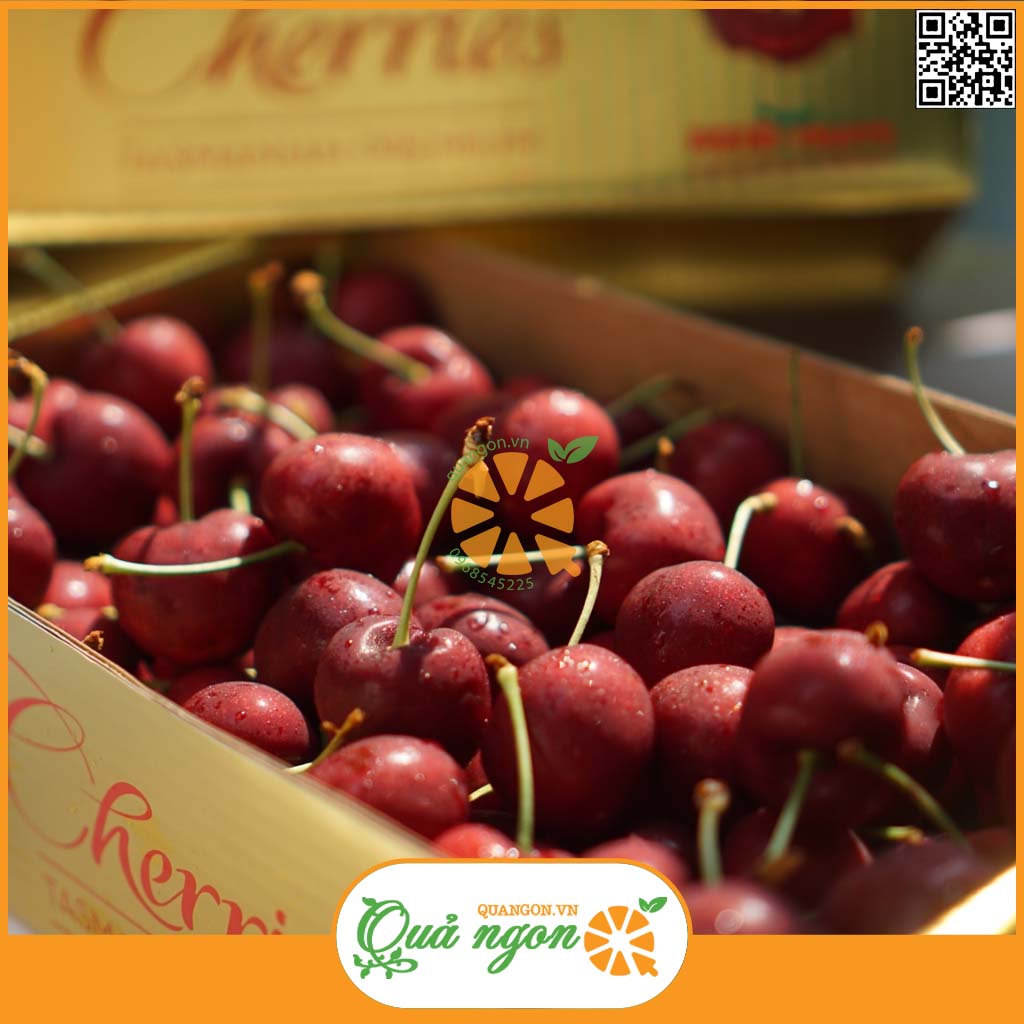 Cherry nhập khẩu mùa vụ từ tháng 5 đến hết tháng 9