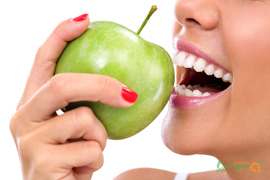 Táo là loại trái cây tốt nhất cho răng miệng