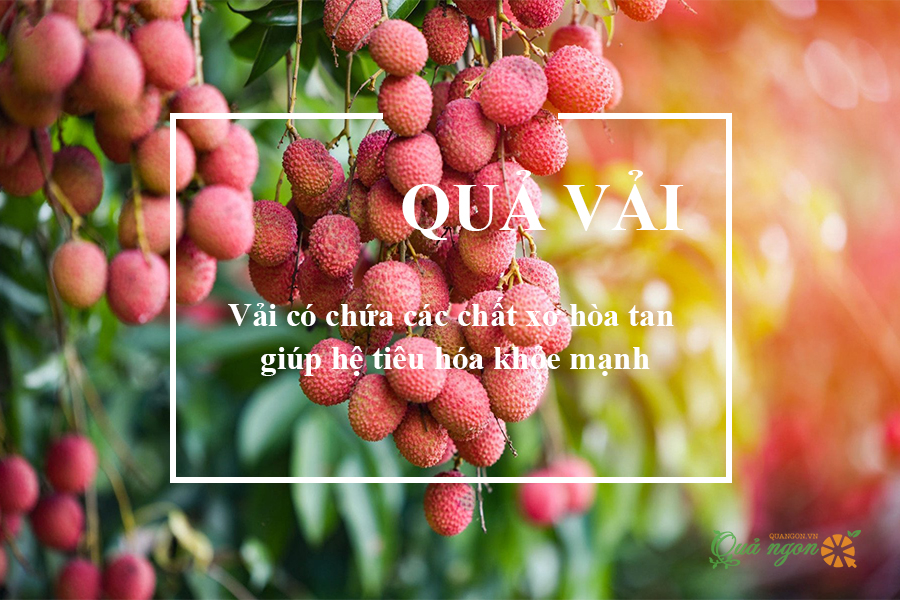 Vải giúp hỗ trợ hệ tiêu hóa