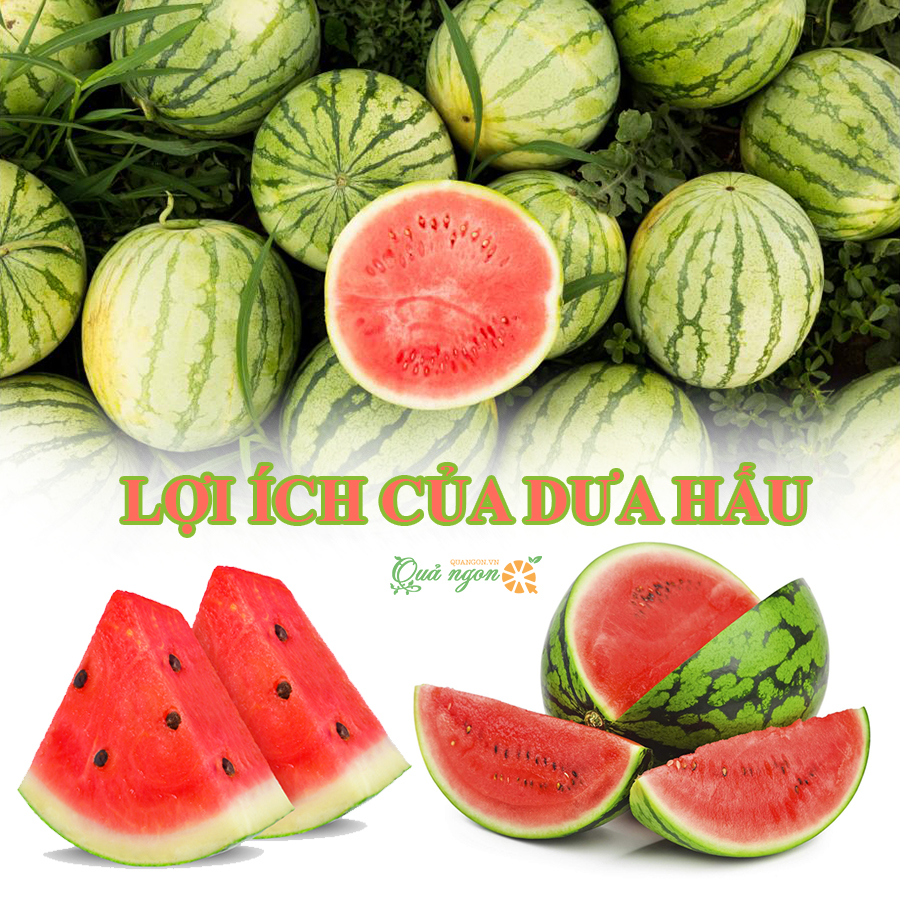 Lợi ích sức khỏe của dưa hấu