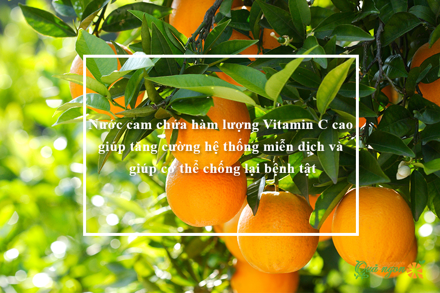 Nước cam chứa hàm lượng Vitamin C rất cao