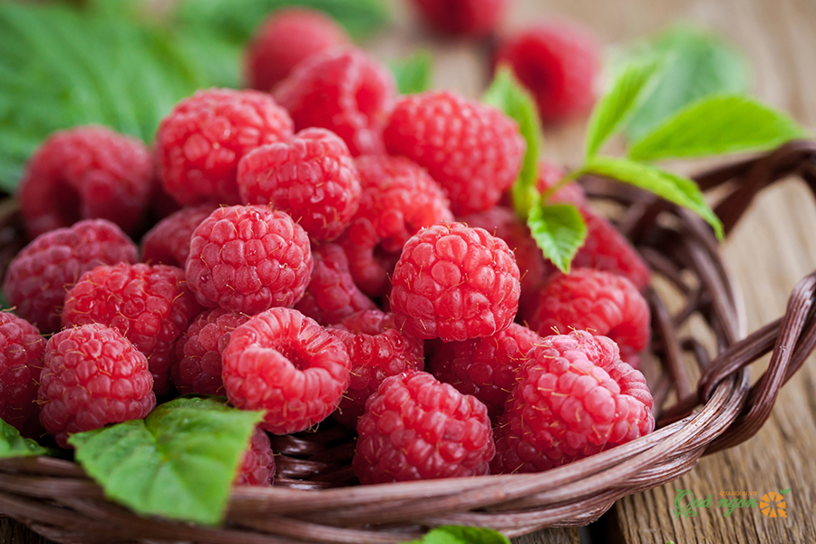 Top 9 loại trái cây tốt cho bệnh nhân ung thư gan