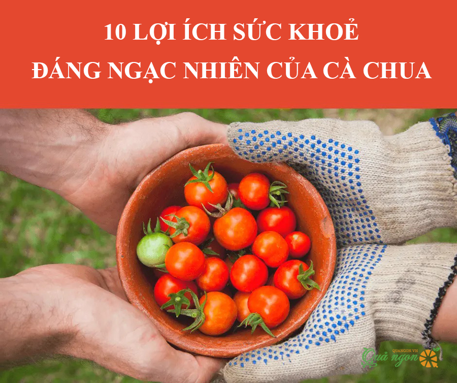Top 10 lợi ích sức khoẻ đáng ngạc nhiên của cà chua 