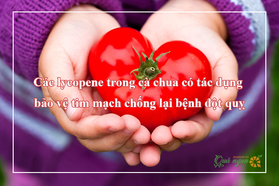 Cà chua bảo vệ trái tim khoẻ mạnh