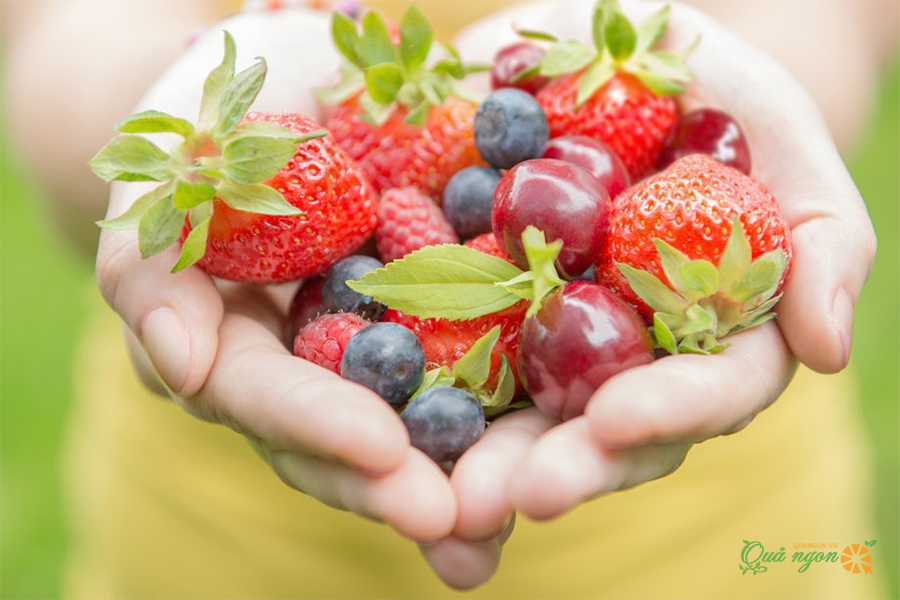 5 Lý do trẻ em nên bổ sung trái cây vào chế độ ăn uống