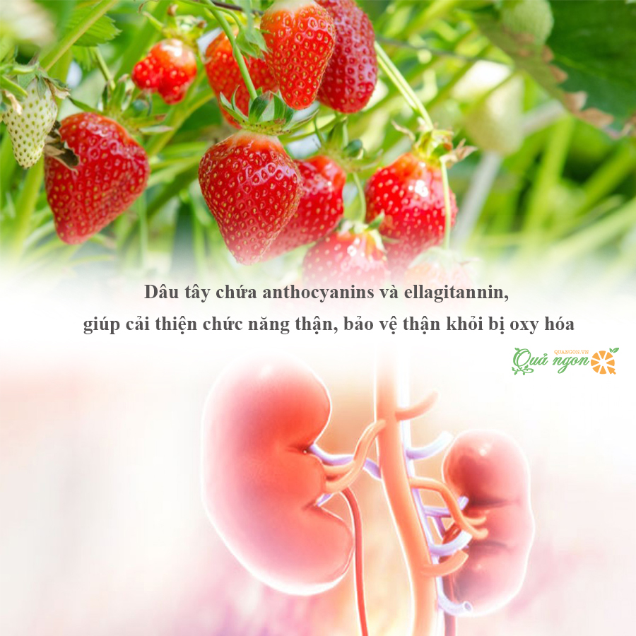 9 loại trái cây có lợi cho những người bị sỏi thận