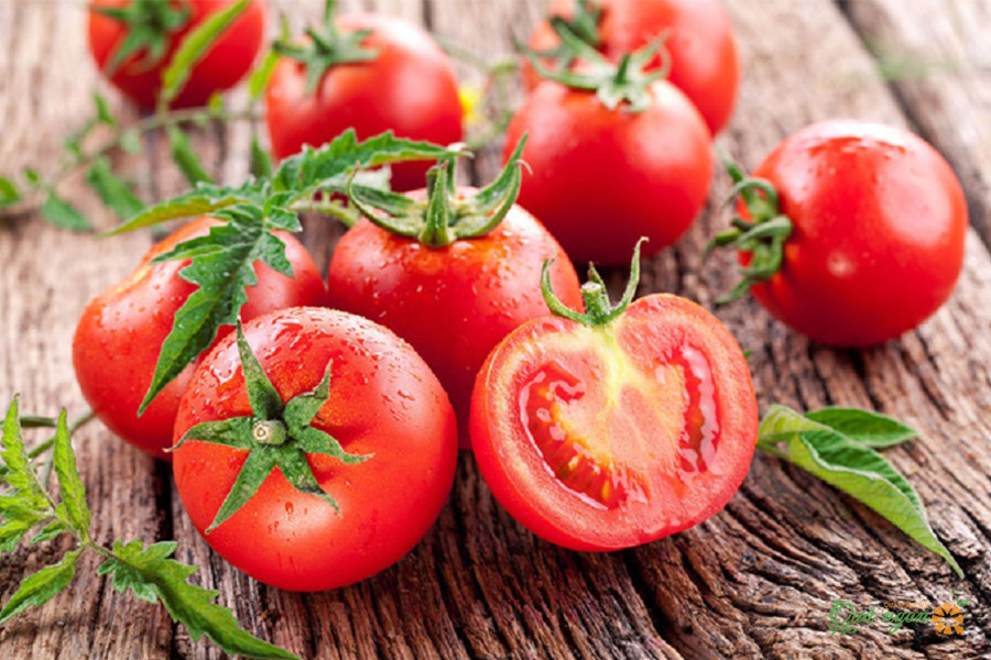 Cà chua là loại trái cây tốt cho người thiếu máu